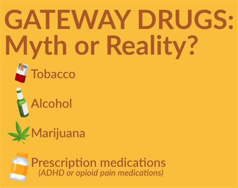 Examples Of Gateway Drugs Pinnacle Peak Recovery Drugs That Leads