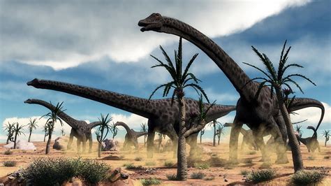 diplodocus dinosaurs herd in the desert 3d render digital art by