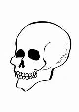 Skull Coloring Pages Bones Kids Template Printable Worksheet Teenagers Clip Gif Print Large sketch template