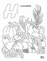 Coloring Harvest Pages Agriculture Book Colouring Template Fall Neymar Agric Www1 Deptdocs Nsf Ab Department Gov Ca  Printable sketch template