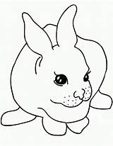 Rabbit Coloring Pages Clipart Bunny Printable Cute Rabbits Baby Template Outline Kids Color Bunnies Face Line Cliparts Craft Animal Colouring sketch template