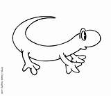 Lagartos Lizards sketch template