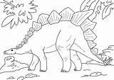Stegosaurus Coloring Dinosaur Pages Prehistoric Kids Choose Board sketch template