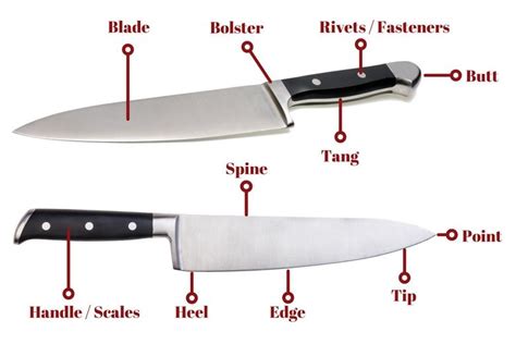 parts   knife  anatomy  kitchen  bbq knives knife making knife knife