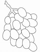 Grapes Coloring Grape sketch template