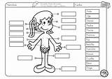 Partes Cumplimentar Fichas Infantil sketch template