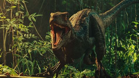 Dinosaur Jurassic Park Wallpaper 4k 5 Free Videos Of Jurassic Park