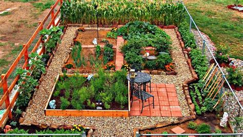 fantastic backyard vegetable garden ideas