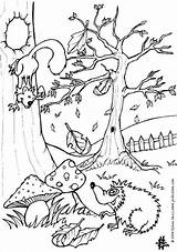 Bosdieren Dieren Eekhoorn sketch template
