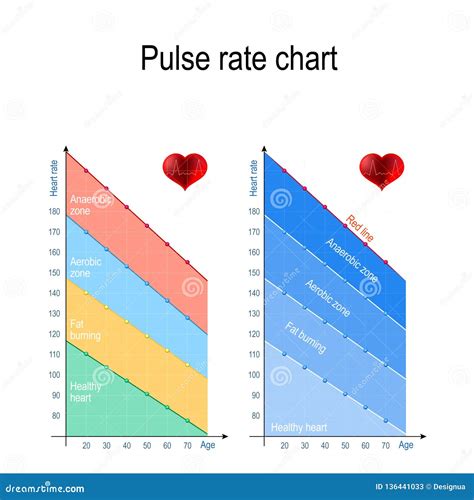pulse rate chart  healthy lifestyle maximum heart rate cartoon vector cartoondealercom
