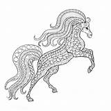Paard Paarden Dieren Mandala Volwassenen Volwassen Steigerend Steigeren Tekeningen Moeilijke Terborg600 Moeilijk Downloaden Uitprinten Leukvoorkids U2013 sketch template