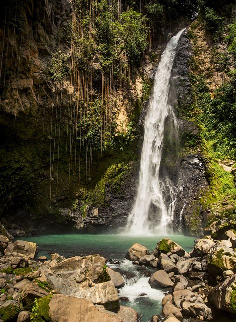 waterfalls rivers and rain forest on dominica the new york times