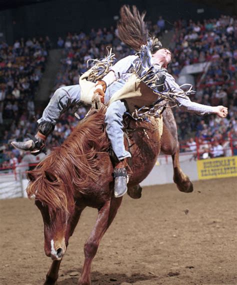 rodeo experience richard beal