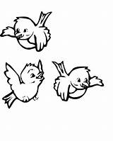 Coloring Fly Pages Getcolorings Various Bird sketch template