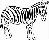 Zebra Coloring Animal Wild Sheet sketch template
