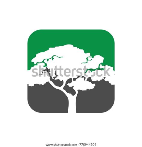 tree logo design icon templates  shutterstock