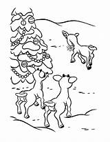 Rudolph Reindeer Rudolf Colorir Rodolfo Kolorowanki Dzieci Renifer Dla Santas Bestcoloringpagesforkids Hellokids Rena sketch template