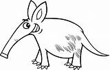 Coloring Armadillo Aardvark Cartoon Getcolorings Pages Color Template sketch template