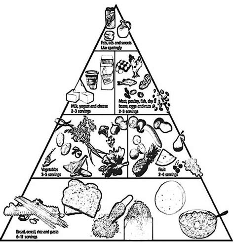 nutrition coloring page coloring home