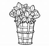 Basket Coloring Flowers Coloringcrew sketch template