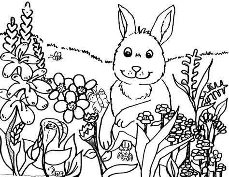 spring coloring pages coloringpagesabccom
