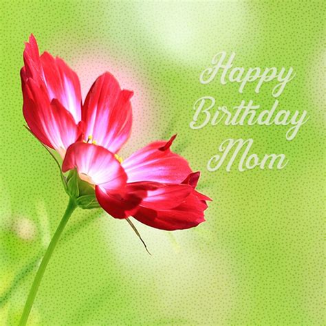 Red Flower To Say Happy Birthday Mom Free For Mom And Dad Ecards 123