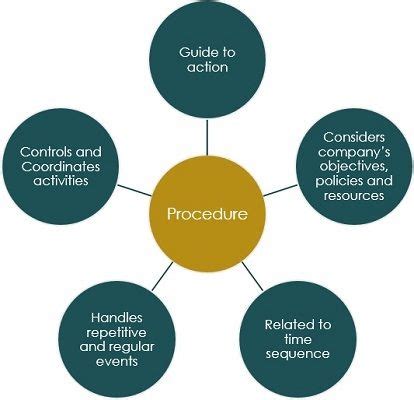 procedure definition characteristics importance  examples