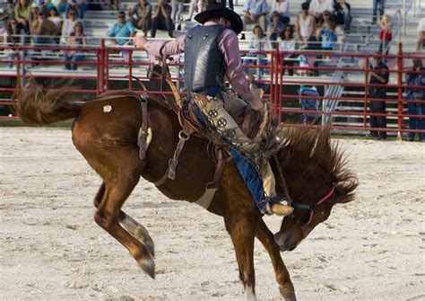 grand junction rodeo  honor late western slope bronc rider