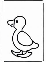 Coloring Duck Baby Pages Ente Kids Seagull Crafts Funnycoloring Popular Birds Animals Coloringhome Advertisement sketch template