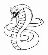 Snake Kobra Schlange Zeichnung Draw Serpent Serpiente Pintura Schlangen Serpente Malen Serpientes Cobras Tiere Serpenti Zeichnungen Königskobra Kingcobra Schlangenkopf Semplici sketch template