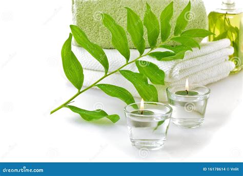spa  green leaf stock images image