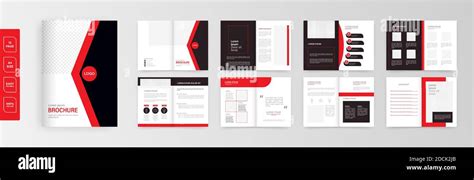 size  page brochure creative design multipurpose template
