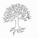Coloring Tree Branches Pages Kids Print sketch template