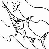 Zwaardvis Swordfish Schwertfisch Ausmalbilder Kleurplaten Fish sketch template