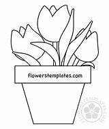 Vase Tulips Coloring Templates Pdf sketch template