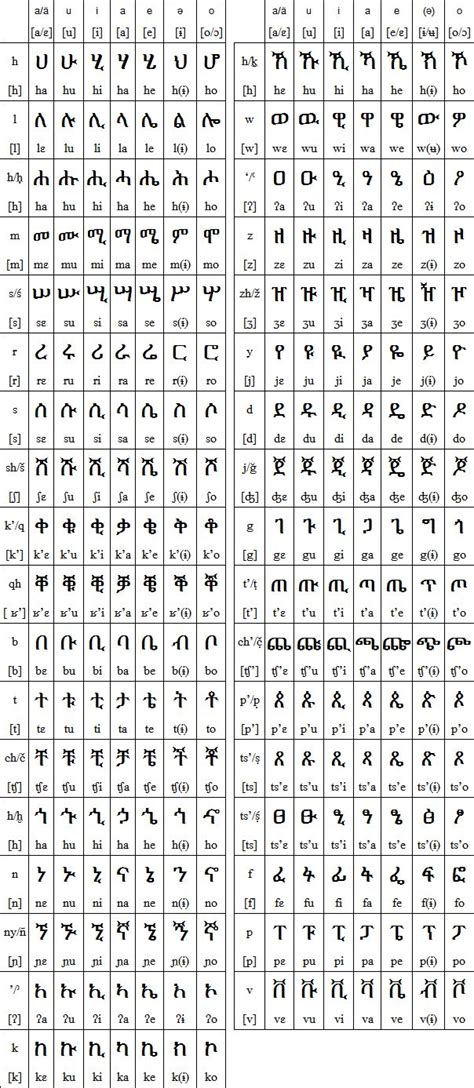 amharic amharic language words   languages alphabet
