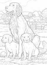Chien Et Coloring Chiots Pages Dog Choose Board sketch template