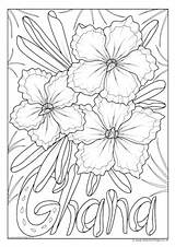 Flower Colouring Ghana National Flowers Pages sketch template