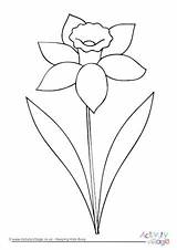 Daffodil Colouring Outline Drawing Pages Clip Flower Color Spring Welsh Coloring Easy Flowers Kids Simple Drawings Clipart Activityvillage Patterns Children sketch template