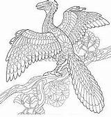 Coloring Pages Archaeopteryx Archeopteryx Gliding Microraptor Coloringpagesonly sketch template