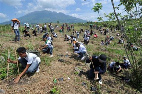 tree planting world record set  philippines