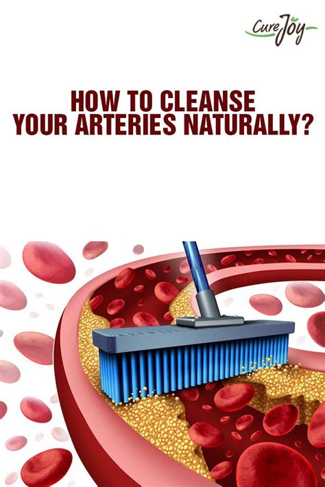 cleanse  arteries naturally arteries clean arteries cleanse