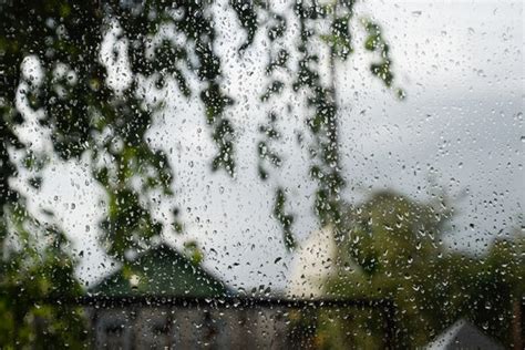 top  imagen photography rain background thpthoanghoathameduvn