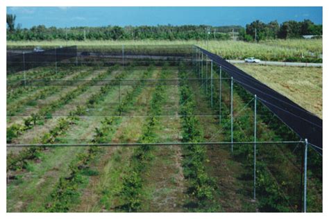 crop protection  solutions weathersolve structures