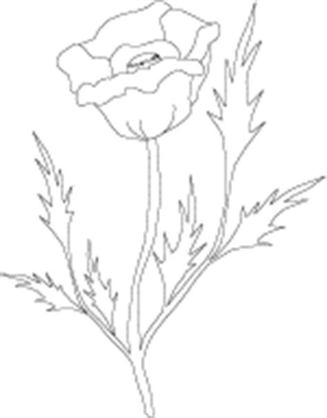 poppy drawing template clipart
