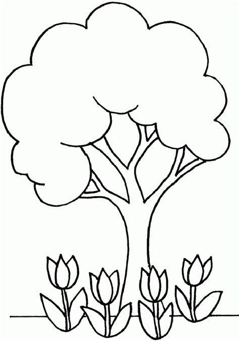 printable tree coloring pages  kindergarten coloring page