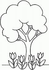 Tree Coloring Pages Kids Printable Flowers Trees Leaves Colouring Color Simple Cartoon Drawing Clipart Children Elm Cherry Clip Without Template sketch template