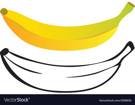 banana color  outline royalty  vector image