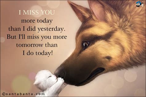 Miss You More Than Quotes Quotesgram