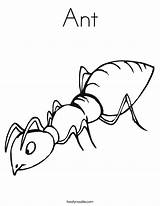 Ant Coloring Pages Kids Ants Drawing Printable Colouring Color Insect Animal Clipart Line Cliparts Print Alphabet Preschool Kindergarten Picnic Bug sketch template